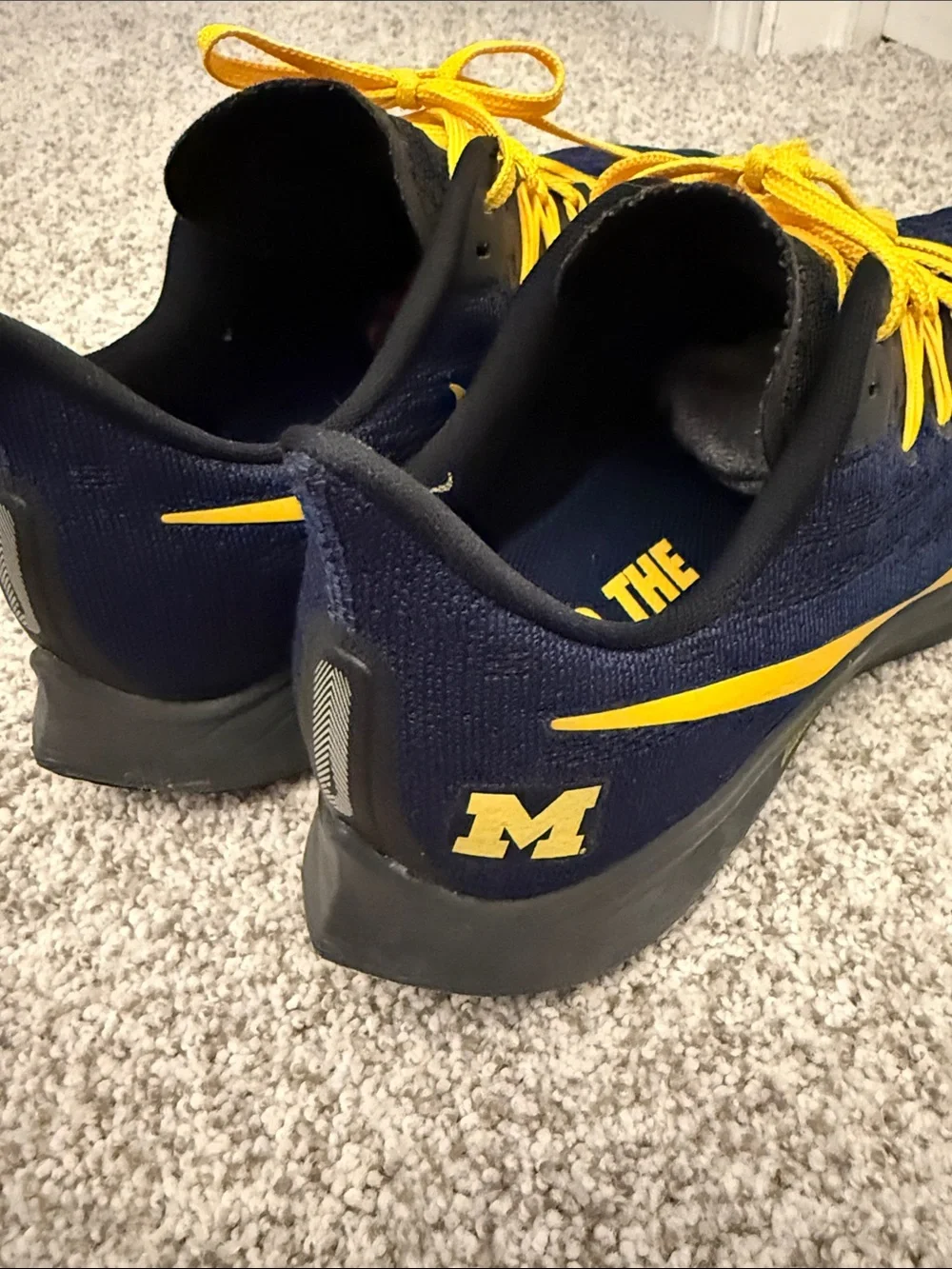 Nike Men’s Michigan Wolverines Sneakers size 11.5